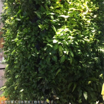 箐禾园林 植物墙现货供应 新型垂直绿化植物墙 植物墙厂家立体