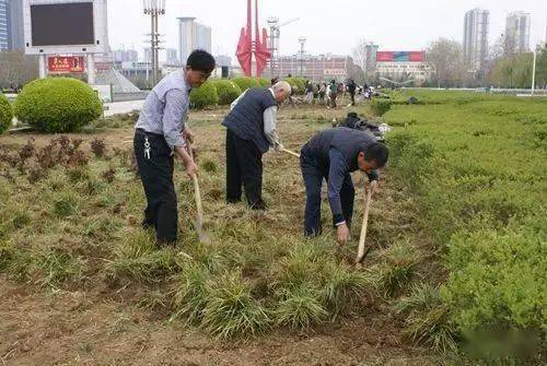 万字长文 园林绿化工程施工技术规范