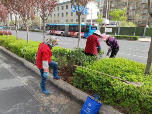 七里河区园林绿化所协同交警整治交通乱象